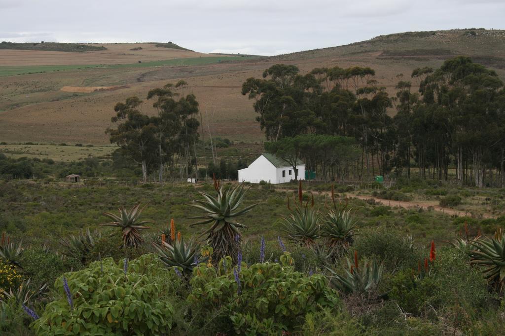 Infinity Farm Villa Riversdale Room photo