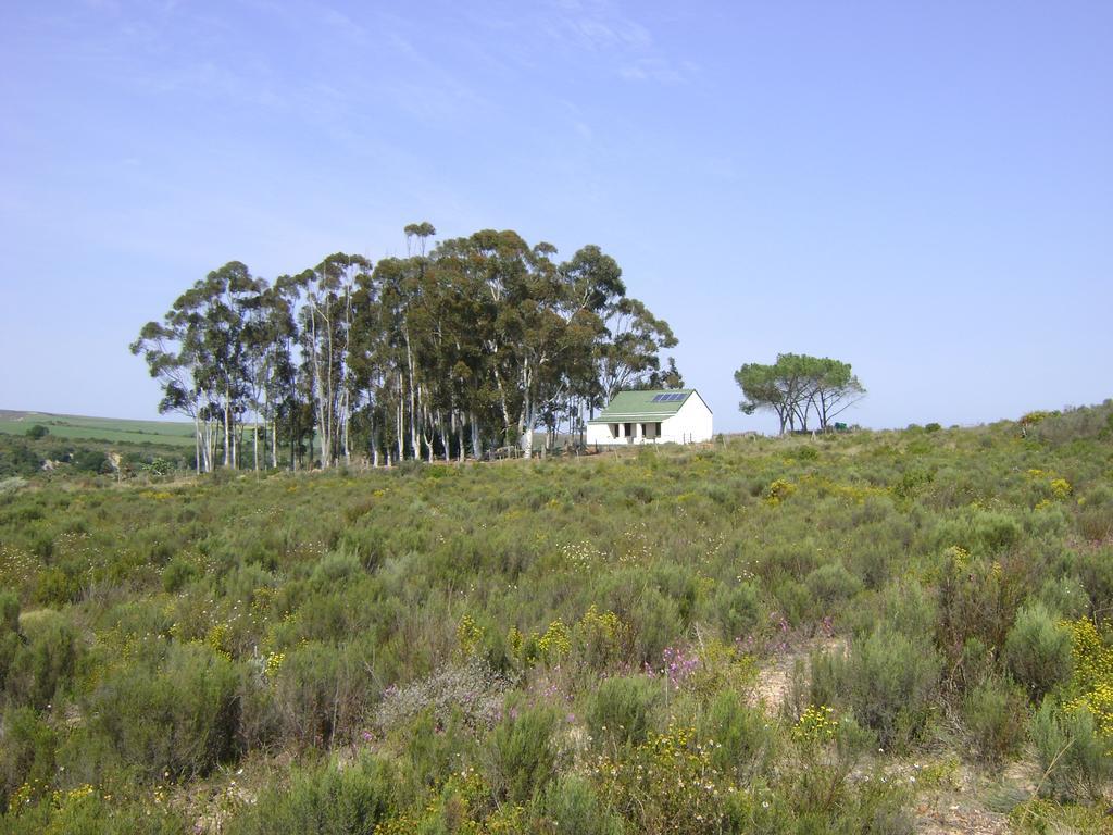 Infinity Farm Villa Riversdale Exterior photo